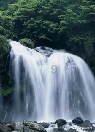 沈晓明参加岳阳市代表团审议：大力解放思想 狠抓工作落实 坚定不移推动高质量发展